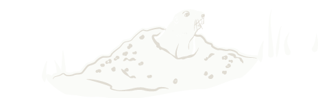 gopher+sprout illustration