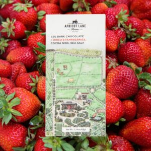ALF Strawberry Dark Chocolate Bars (4 pack)