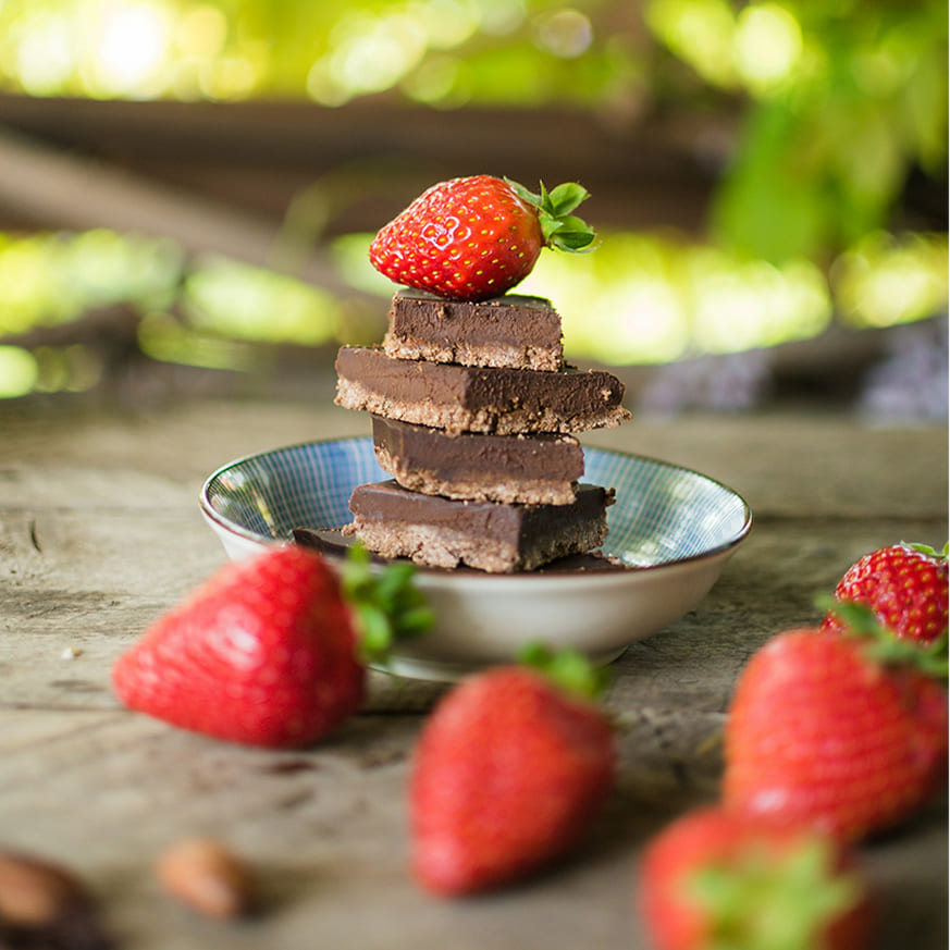 ALF Strawberry Dark Chocolate Bars (4 pack)